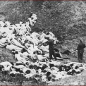 Délvidéki Magyar Holokauszt – HELYSÉGJEGYZÉK – koncentrációs táborok, kínzások, tömeggyilkosságok