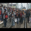 Álljon meg a menet! – díjnyertes dokumentumfilm a bűnvándor-válságról
