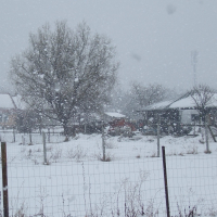 Öklömnyi pelyhekben esett a hó Szegeden