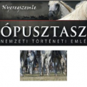 Kárpát-medencei lovas hagyományőrző találkozó Ópusztaszeren – részletes programmal