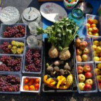 Razzia: 5 tonna zöldséget, gyümölcsöt semmisítettek meg