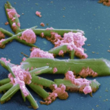 A részecskeszennyezés veszélyesebb, mint gondoltuk A részecskeszennyezés veszélyesebb, mint gondoltuk