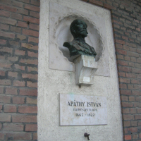 155 éve született Apáthy István az idegrostok fölfedezője